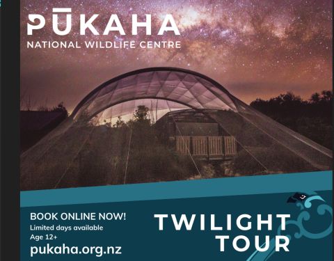 Pūkaha Twilight Tours