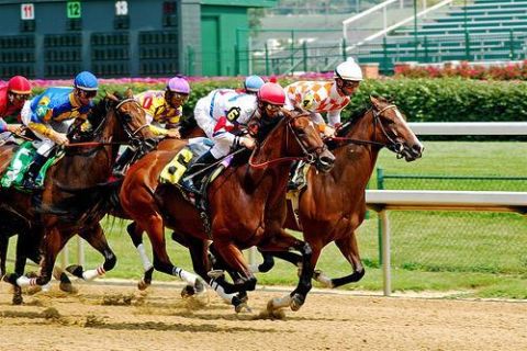 Woodville Pahiatua Racing Club Meeting 