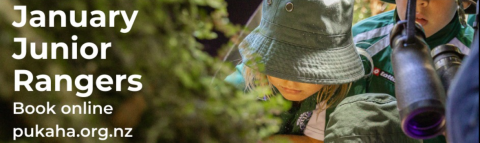 Pūkaha Junior Ranges School Holiday Programme