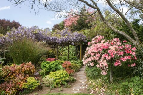 A presentation by Horticulturist Charles Foulds
