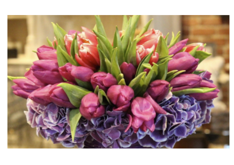 Floral Art Exhibition 'Flower Power'
