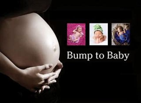 Bumps to Babies