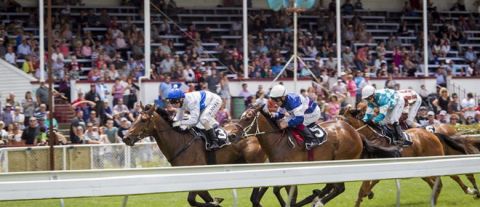 Woodville/Pahiatua Race Meeting