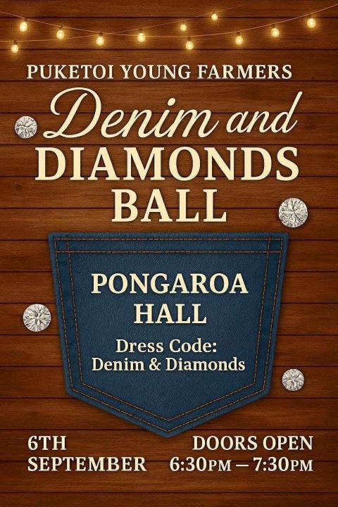  'Denim & Diamond Ball'