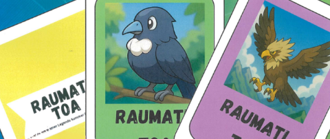 The Collectors Cards are Back with a new theme!  At Libraries Tararua Branches!